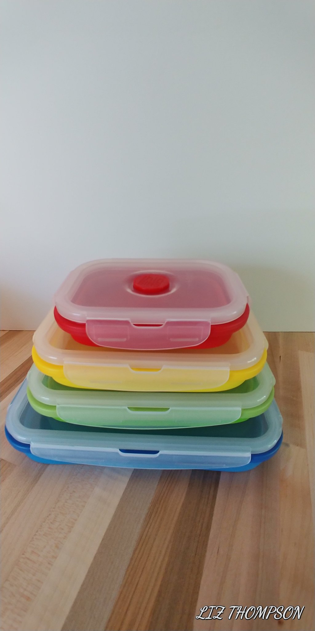 Thin Bins Collapsible Containers Set of 4 Rectangle Silicone Food Storage Containers BPA Free, Microwave, Dishwasher Safe